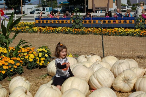 224431_10151252438632254_1863542277_n