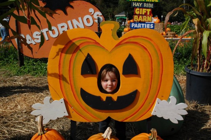 319961_10150410260872254_1907710848_n