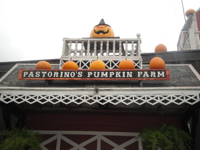 36180_482551372253_2641418_n