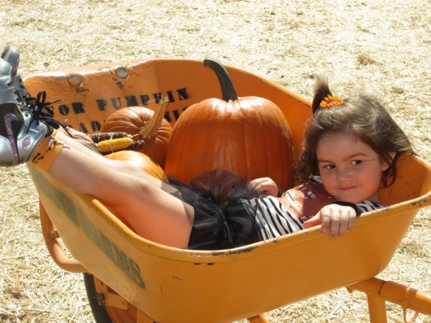 525840_10151252440527254_1414540116_n