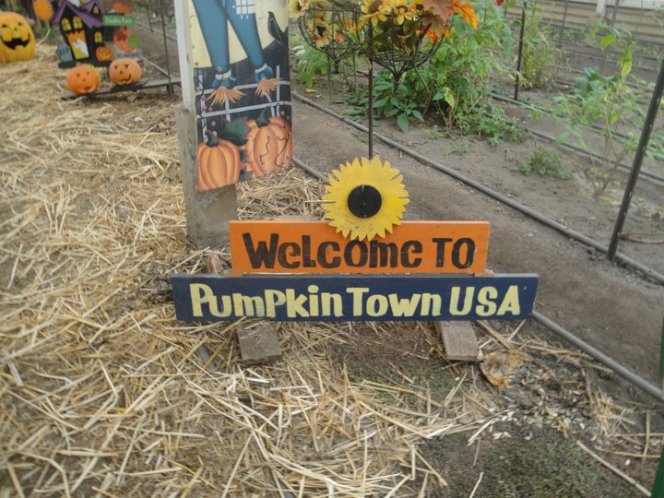 64219_482551277253_373497_n