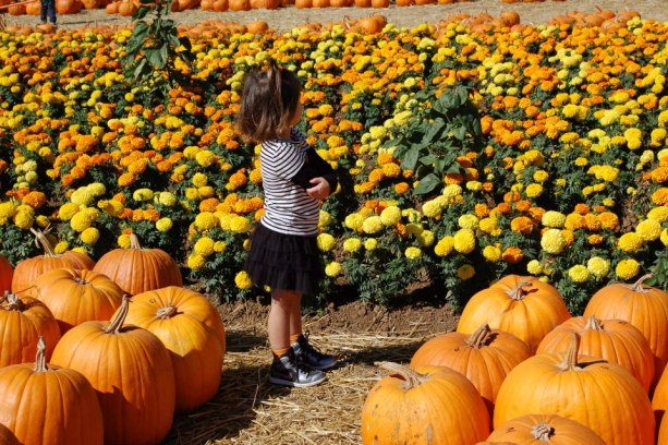 68075_10151252438437254_2078591949_n