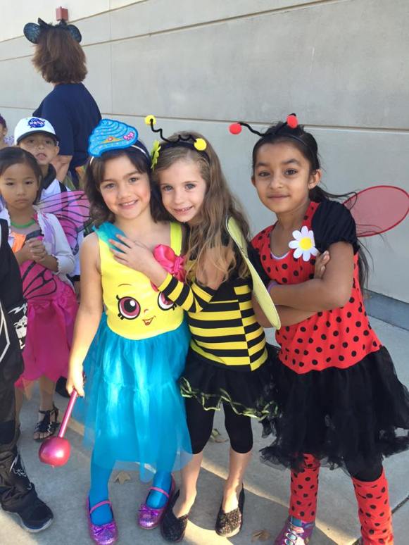 10406440_10153620030257254_6470502318019377453_n