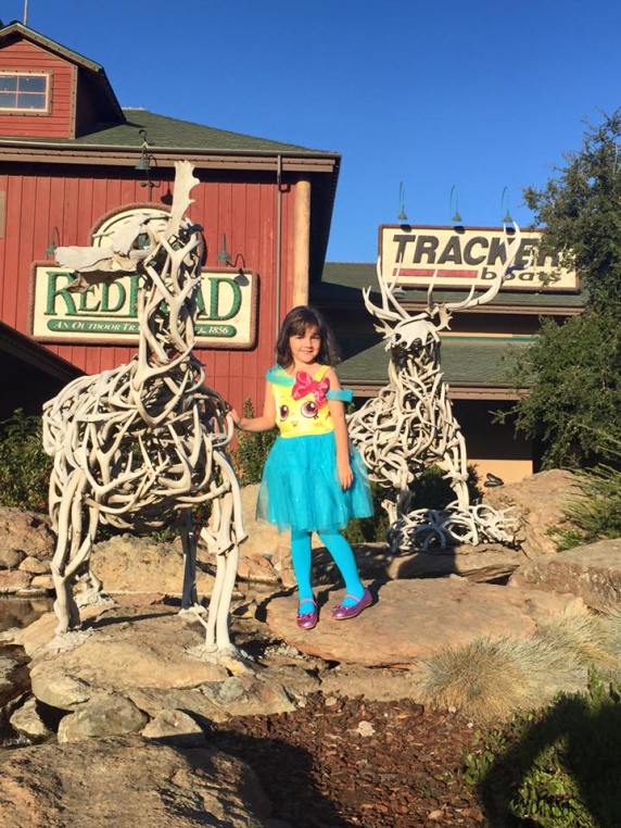 12191027_10153620030097254_6746567046180774667_n